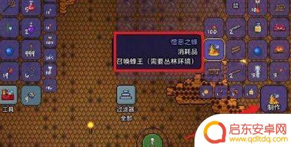 泰拉瑞亚如何找到蜜王 泰拉瑞亚蜜蜂王召唤方法