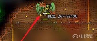 泰拉瑞亚如何找到蜜王 泰拉瑞亚蜜蜂王召唤方法
