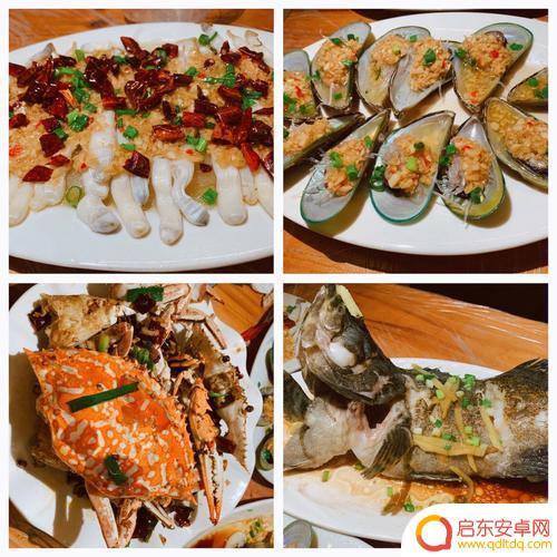 北海抖音美食推荐(北海抖音美食推荐店)