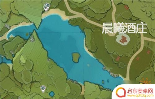 原神小灯草哪里能买 原神小灯草购买地点在哪里
