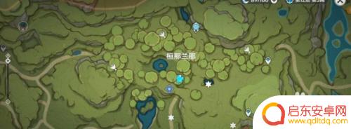 原神帮助兰那罗开宝箱 原神兰那罗宝箱开启方法