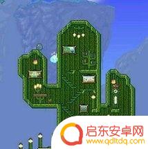 泰拉瑞亚稻锯木机 泰拉瑞亚锯木机怎么获取