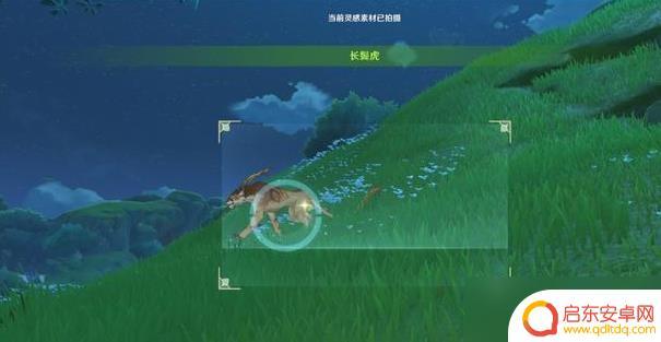 原神雨林生灵怎么拍照 原神雨林生灵任务怎么触发