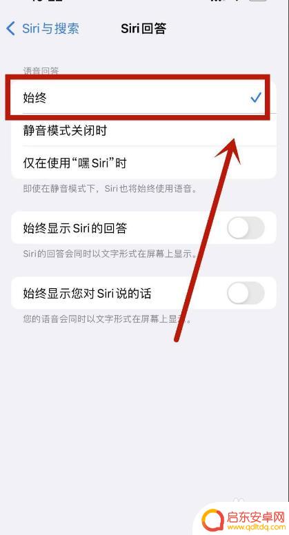 苹果手机召唤siri为什么没有声音 Siri可以唤醒但没有声音的原因是什么