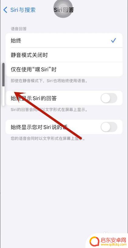 苹果手机召唤siri为什么没有声音 Siri可以唤醒但没有声音的原因是什么