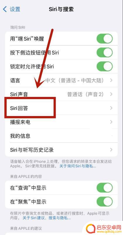 苹果手机召唤siri为什么没有声音 Siri可以唤醒但没有声音的原因是什么