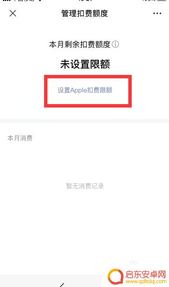 苹果手机怎么显示限额 苹果手机微信支付限额设置步骤