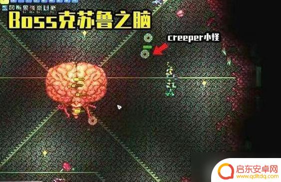 手游泰拉瑞亚上线顺序 泰拉瑞亚boss顺序和召唤方式的解析