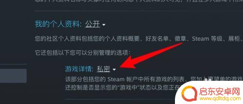 steam怎么隐藏登记 Steam如何隐藏游戏不让好友看到