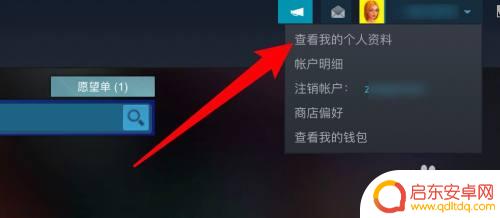 steam怎么隐藏登记 Steam如何隐藏游戏不让好友看到