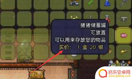 泰拉瑞亚有什么能动的背包 泰拉瑞亚随身背包有哪些隐藏功能