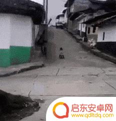雪碧搞笑视频抖音(雪碧搞笑视频抖音版)