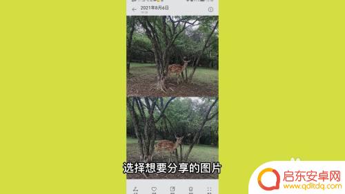 华为手机如何投送图片 华为手机如何通过隔空投送发送图片