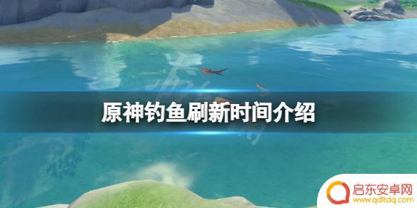 原神鱼多久刷新一次游戏时间 《原神》钓鱼刷新时间是多久一次