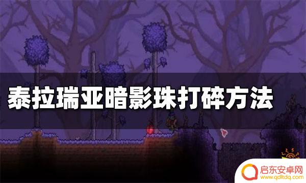 泰拉瑞亚打破暗影球掉什么 泰拉瑞亚暗影珠打碎有什么奖励
