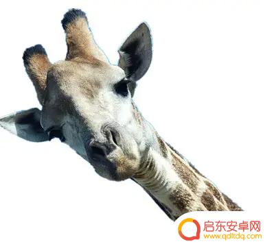 抖音北影老师简介(抖音北影宿舍)