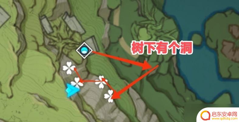原神蘑菇怎么快速获得 原神3.1树王圣体菇收集攻略