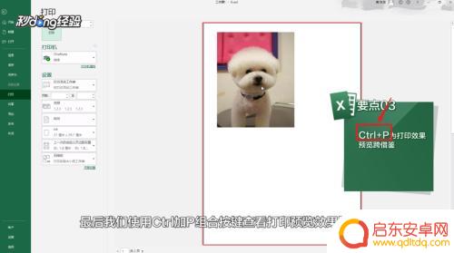 手机表格如何预览图片 Excel如何显示图片预览