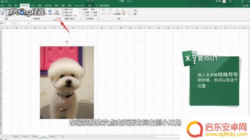 手机表格如何预览图片 Excel如何显示图片预览