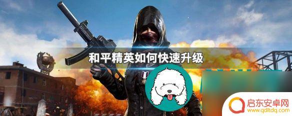 和平精英怎么升级等级更快 和平精英升级等级最快速方法