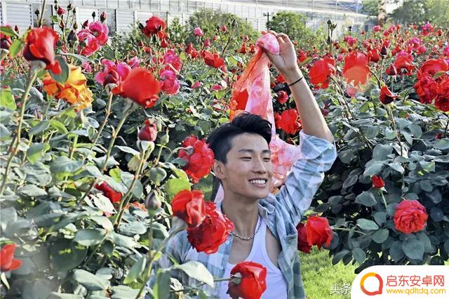 荷兰官方抖音账号(荷兰官方抖音账号是什么)