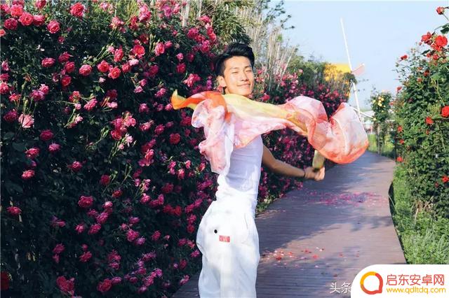 荷兰官方抖音账号(荷兰官方抖音账号是什么)