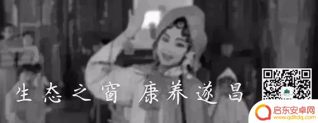 烧烤抖音题材名字(烧烤抖音题材名字大全)
