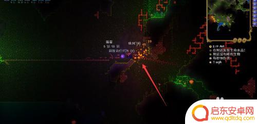 泰拉瑞亚怎么驯服白龙 泰拉瑞亚白龙驯服方法