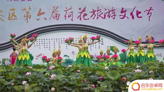 花卉抖音照片模板(花卉抖音照片模板怎么弄)