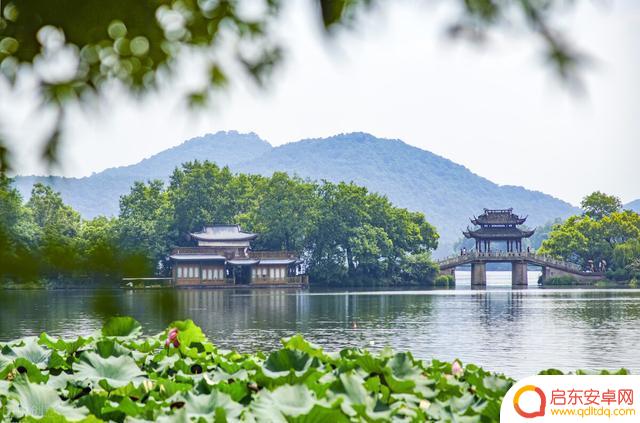冒险之旅抖音直播(冒险之旅抖音直播是真的吗)