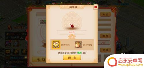 梦幻西游怎么给宠物吃东西 梦幻西游手游小猪喂食方法