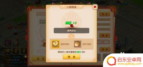 梦幻西游怎么给宠物吃东西 梦幻西游手游小猪喂食方法