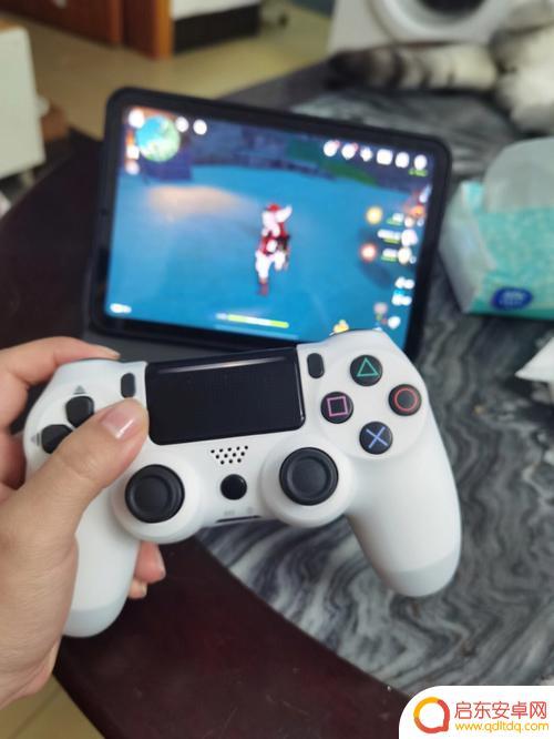 ipad原神支持的手柄(ipad原神支持的手柄ns手柄)