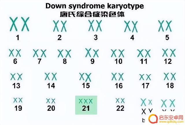 手机门禁如何添加指纹 俗话一斗穷二斗富的科学解析