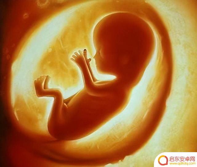 手机门禁如何添加指纹 俗话一斗穷二斗富的科学解析