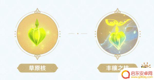 原神尼禄值得抽吗 原神妮露值得抽吗