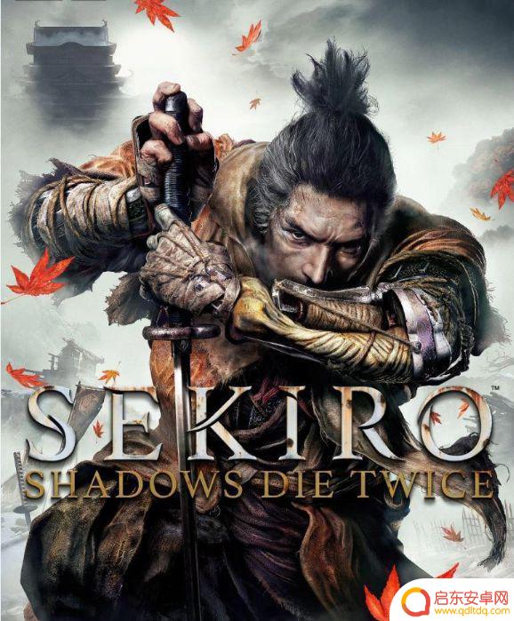 只狼在steam叫什么 只狼影逝二度steam优惠活动