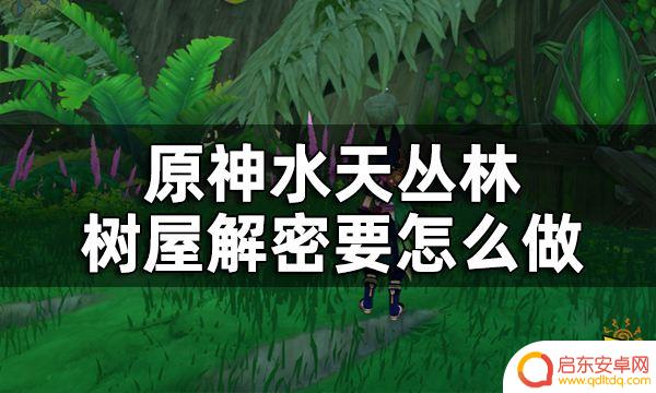 原神森林书的宝箱：探索最全攻略，详解宝箱位置及奖励