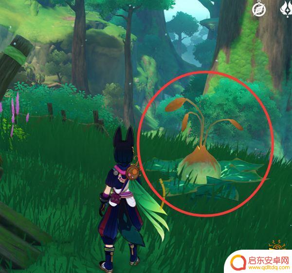 原神森林书的宝箱：探索最全攻略，详解宝箱位置及奖励
