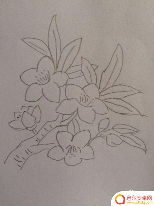 如何在手机上画桃花 如何用简单的线条画出好看的桃花