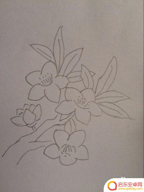 如何在手机上画桃花 如何用简单的线条画出好看的桃花