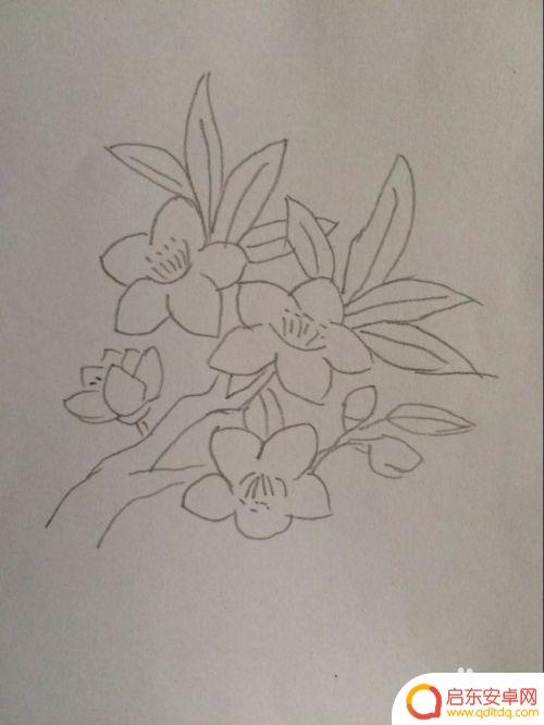 如何在手机上画桃花 如何用简单的线条画出好看的桃花