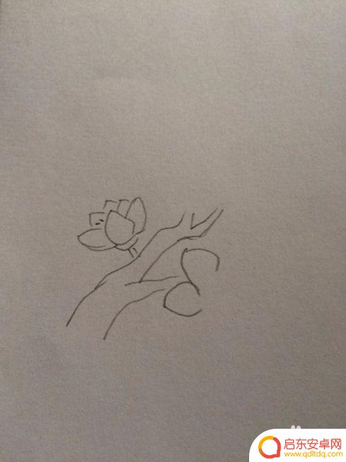 如何在手机上画桃花 如何用简单的线条画出好看的桃花