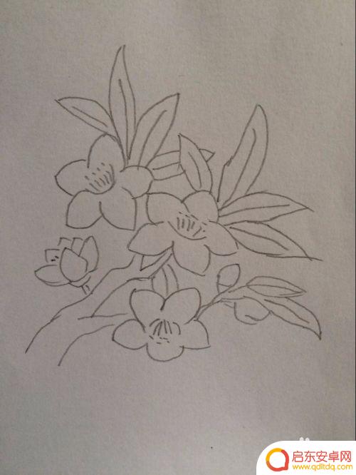 如何在手机上画桃花 如何用简单的线条画出好看的桃花