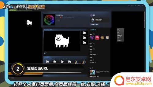 steam 代码url 如何在Steam上提取个人链接