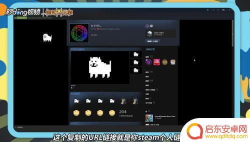 steam 代码url 如何在Steam上提取个人链接