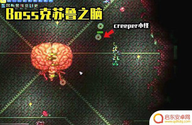 泰拉瑞亚顺序boss 《泰拉瑞亚》打booss顺序攻略