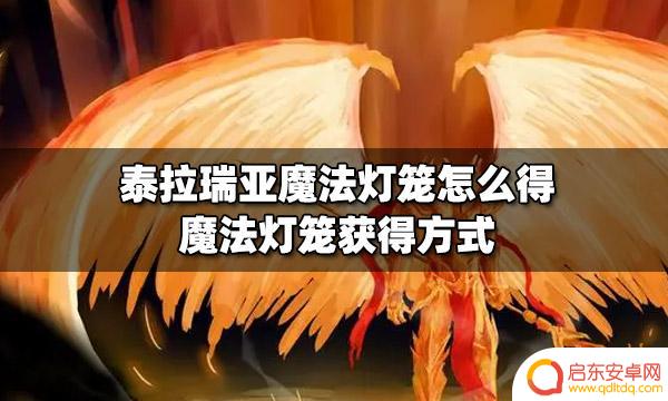 泰拉瑞亚魔法灯笼什么买 泰拉瑞亚魔法灯笼怎么获取