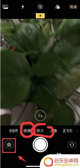 手机如何拍摄动物头 苹果怎么拍摄动物头部