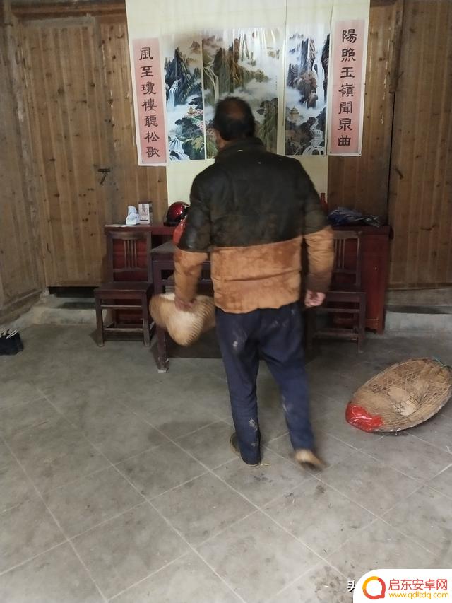 雨天采茶自拍抖音(雨天采茶自拍抖音视频)